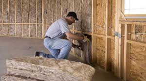 Eco-Friendly or Green Insulation Solutions in Horizon West, FL